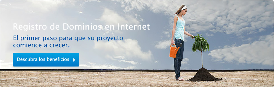 Registre el nombre de su nuevo proyecto en internet